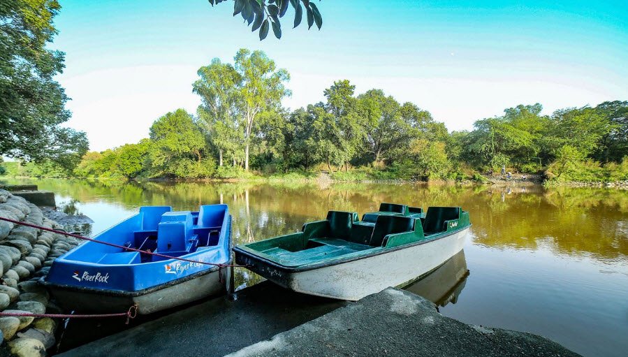Kanjli Wetland